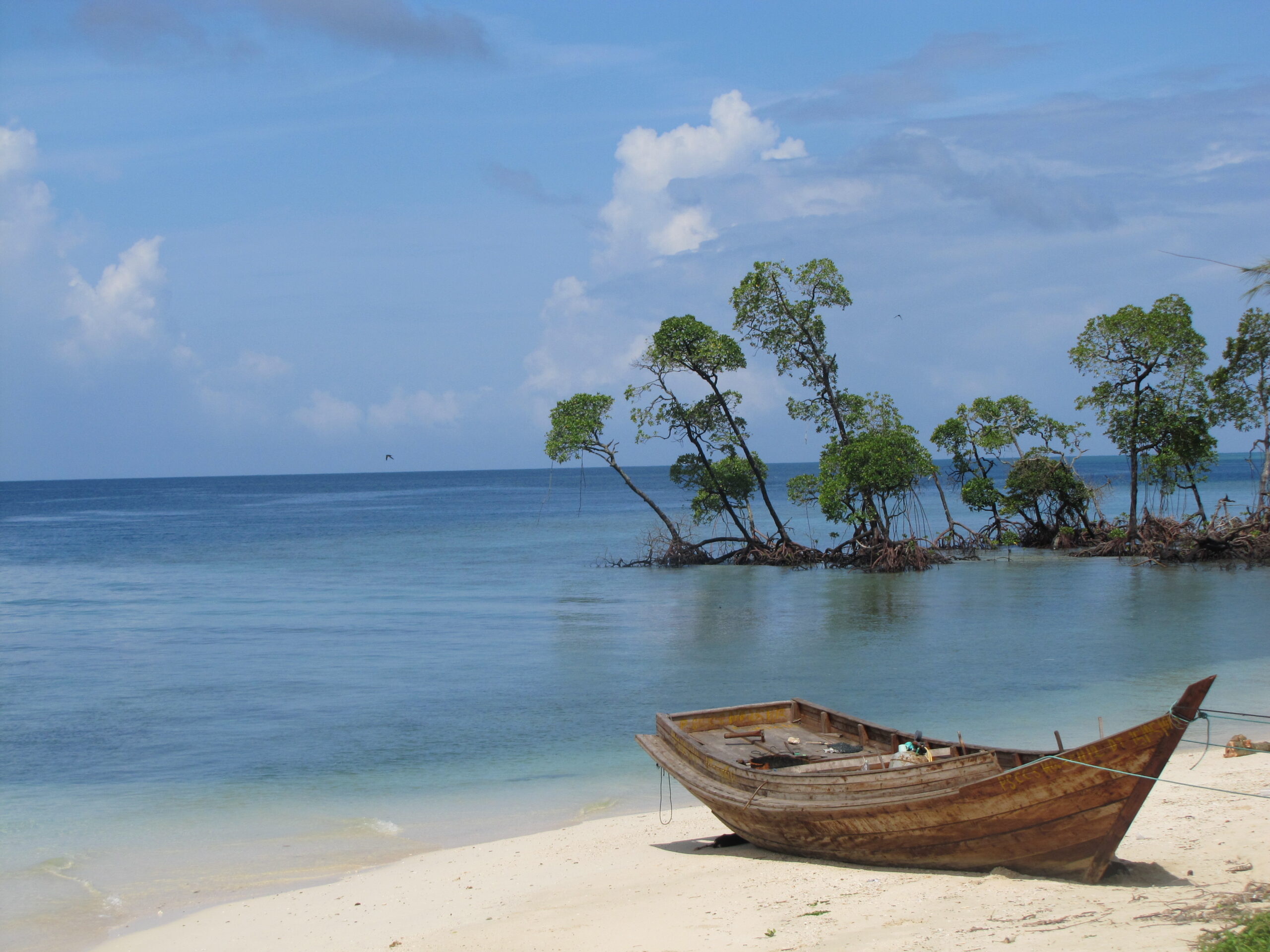 AndamanJoy Tourism: Unveiling the Andaman Archipelago
